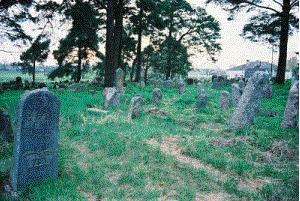 Долгиново, кладбище еврейское